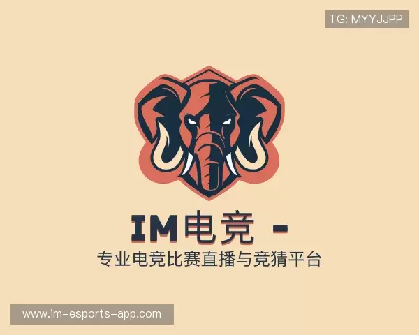 了解IM电竞