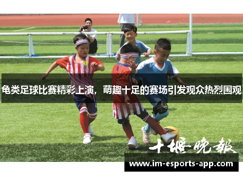 龟类足球比赛精彩上演，萌趣十足的赛场引发观众热烈围观